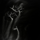 Image for article titled Capturing the Veined Beauty of Lightning